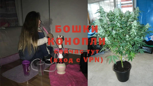 амф Вязьма