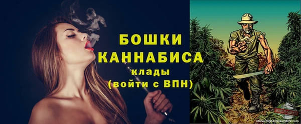амф Вязьма