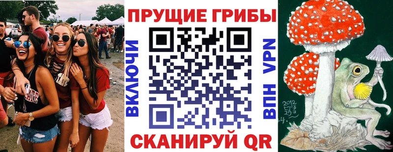 сколько стоит  Меленки  Галлюциногенные грибы прущие грибы 
